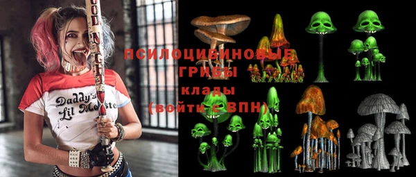 тгк Великий Новгород