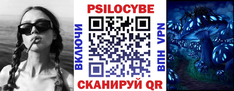 Галлюциногенные грибы Psilocybine cubensis  Ялуторовск 