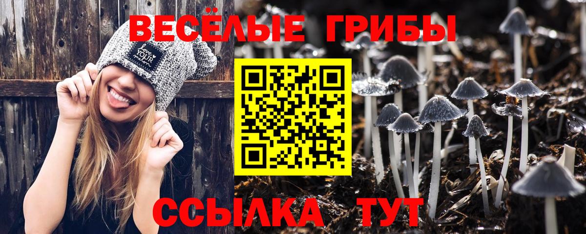 Ялуторовск  Галлюциногенные грибы мухоморы  Вход с VPN 