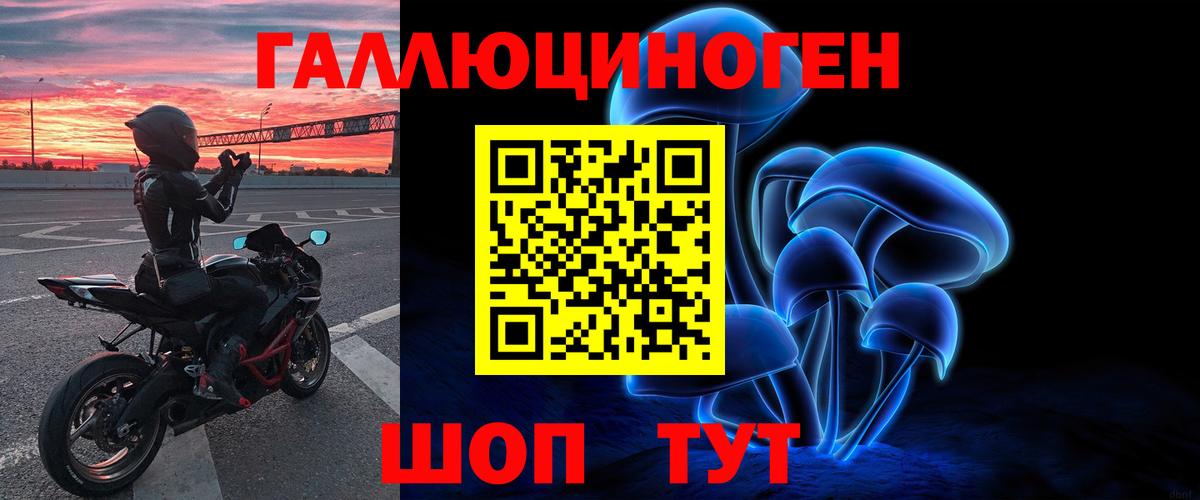 Псилоцибиновые грибы Psilocybe Ялуторовск
